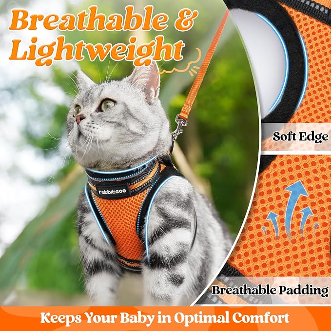 rabbitgoo Cat Harness and Leash Set - Image 4