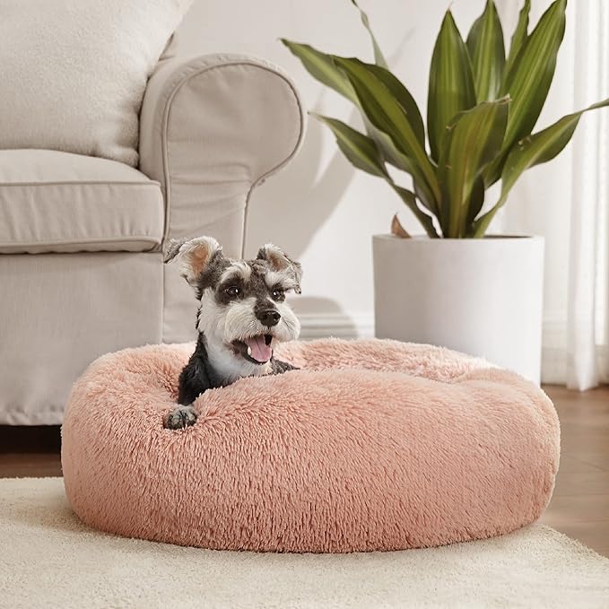 Bedsure Calming Dog Bed for Small Dogs - Image 7