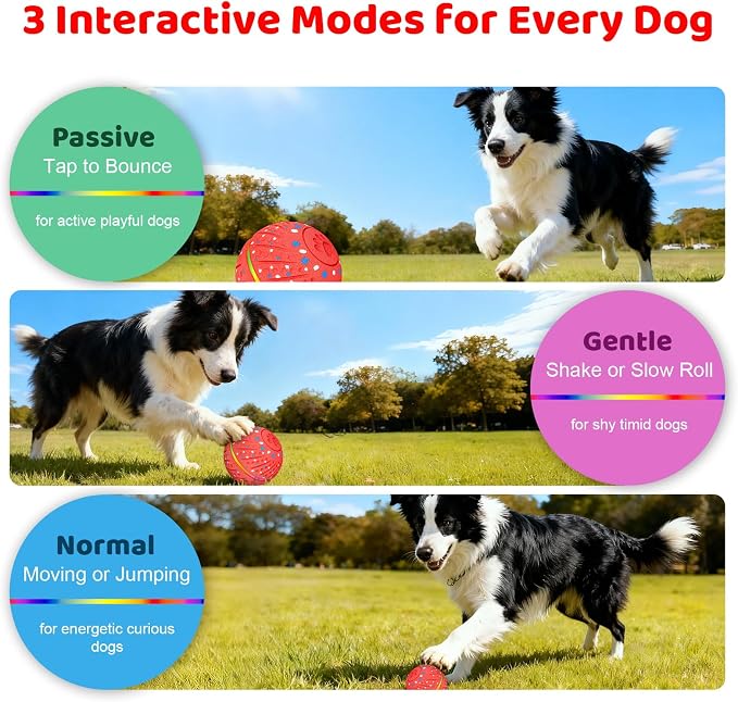 Interactive Dog Toys Ball for Small Medium Dogs - Image 3