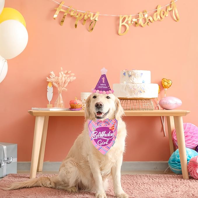 ADOGGYGO Dog Birthday Party Supplies - Image 2
