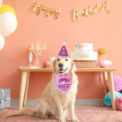 ADOGGYGO Dog Birthday Party Supplies - Image 2