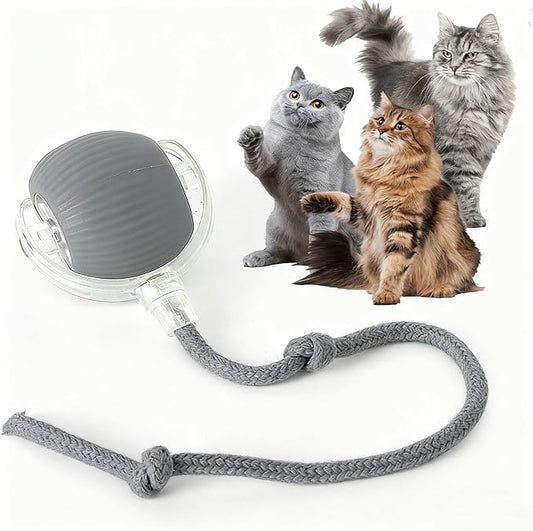 Rocfish Durable Interactive Cat Toys by Unknown