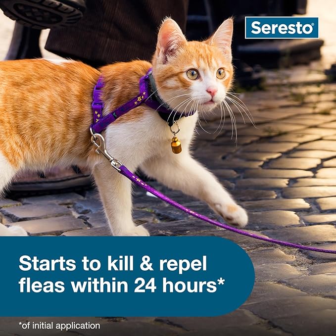 Seresto Cat Vet-Recommended Flea & Tick Treatment & Prevention Collar - Image 7