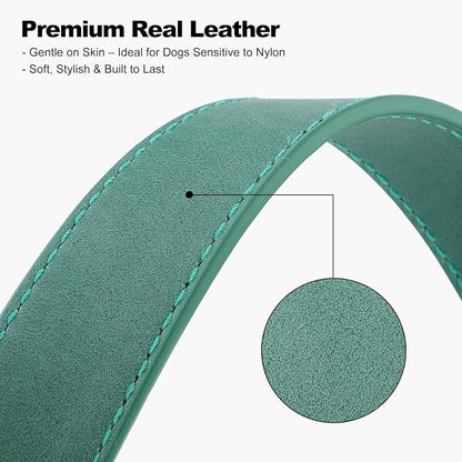 Plutus Pet Genuine Leather Dog Collar – Adjustable Pet Collar - Image 4