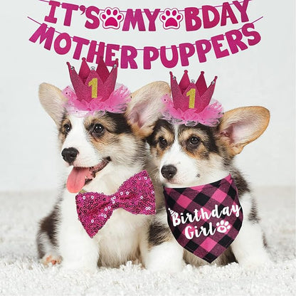 Dog Birthday Decorations - Image 2