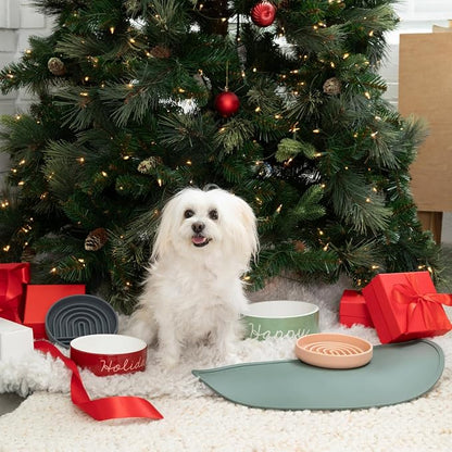 Should We Go - Waterproof Silicone Pet Food Mat - Non-Slip Spill-Proof Feeding - Image 7