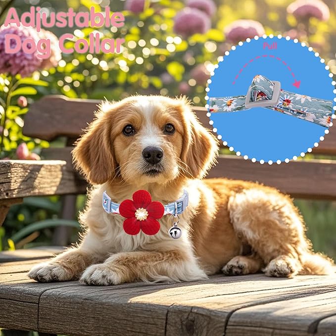 Small Dog Collar with Flower, Puppy Collar - Image 5