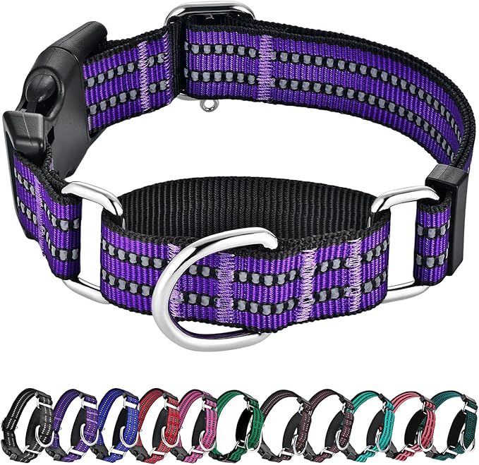 Hikiko Martingale Collar for Dogs Reflective Nylon Dog Collar by Hikiko