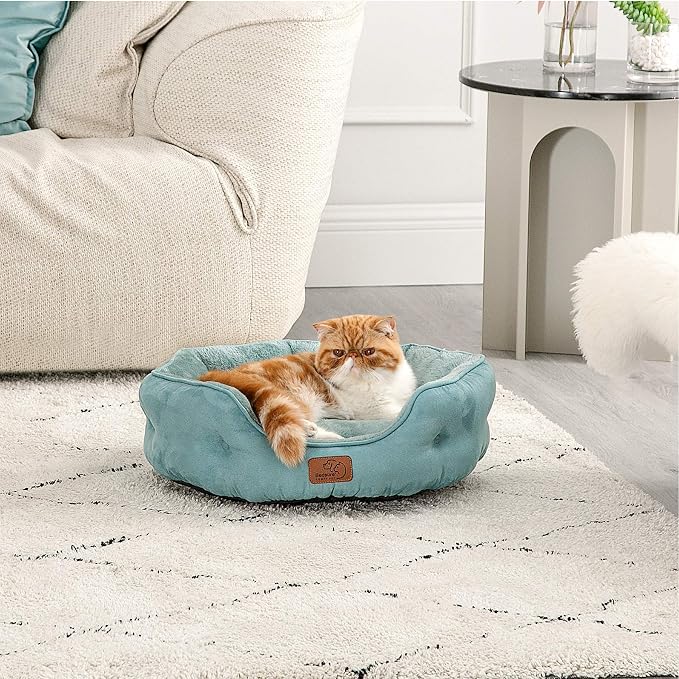 Bedsure Dog Beds for Small Dogs - Image 7