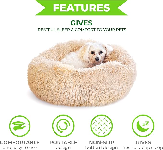 Whiskers & Friends Cat Bed Dog, Cat Beds - Image 3