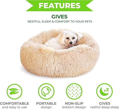 Whiskers & Friends Cat Bed Dog, Cat Beds - Image 3
