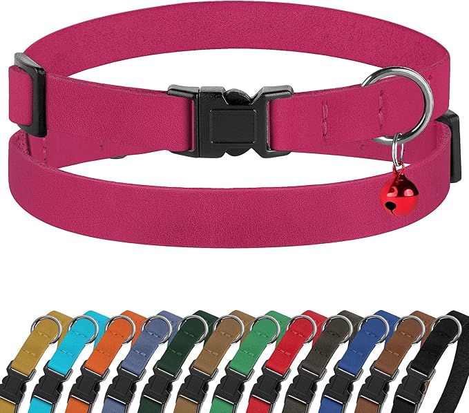 Breakaway Cat Collar Leather by BUDKAS