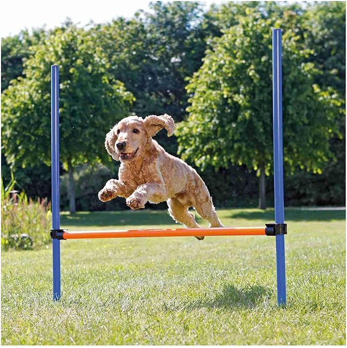 TRIXIE Agility Hurdle Adjustable Dog Jump, Dog Obstacle Course Equipment 1 x - Image 3