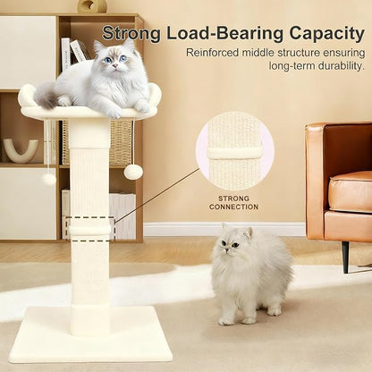 34" Cat Scratching Post for Indoor Cats, Sisal Cat Scratcher - Image 5