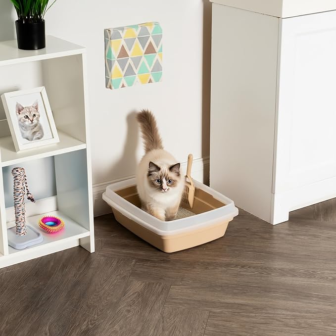 IRIS USA Cat Litter Box, Open Top - Image 3
