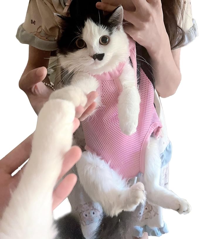 Pet Carrier Backpack - Image 8