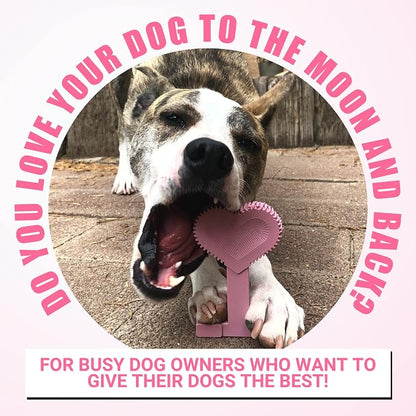 Bullibone Nylon Dog Chew Toy for Aggressive Chewers - Image 5