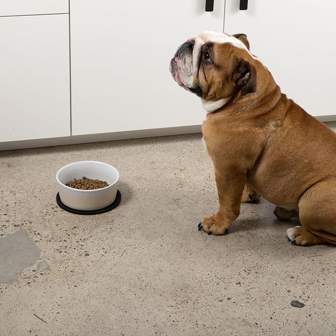 Waggo Habit Silicone Dog Placemat - Image 9