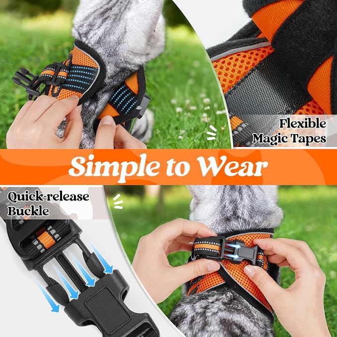 rabbitgoo Cat Harness and Leash Set - Image 3