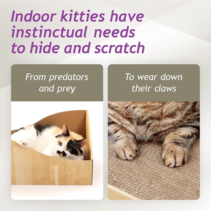 Hideaway Cat Scratcher Box for Indoor Cats - Image 4