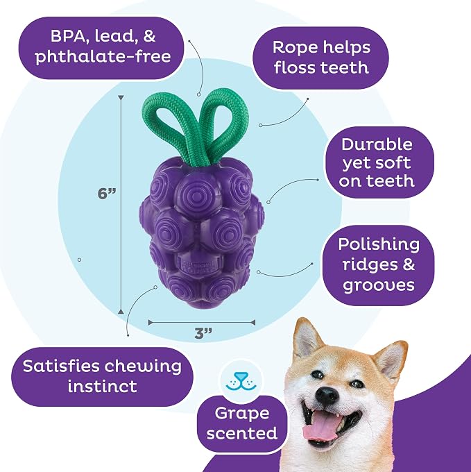 Outward Hound Dental Grapes Dog Toy & Treat Stuffer, 6″ x 3″ Grape-Scent - Image 3
