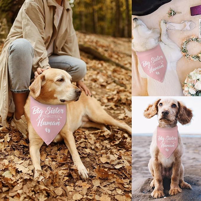Baby Announcement Dog Bandana Big Sister to My Little Human Gender Reveal - Image 6