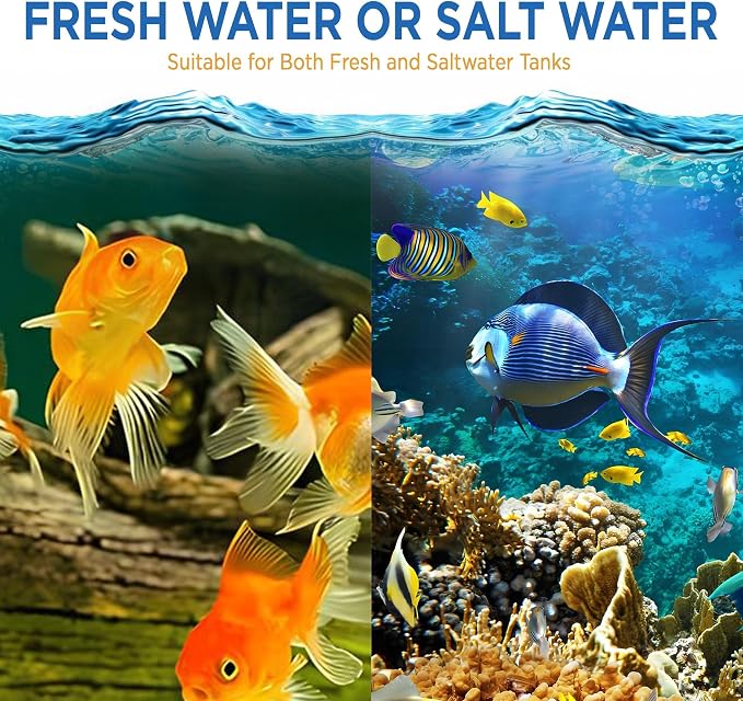 Fish Tank Rocks for Enhancing Water Clarity - Image 5