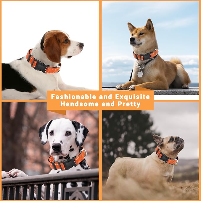 2 Pack Reflective Dog Collar - Image 5