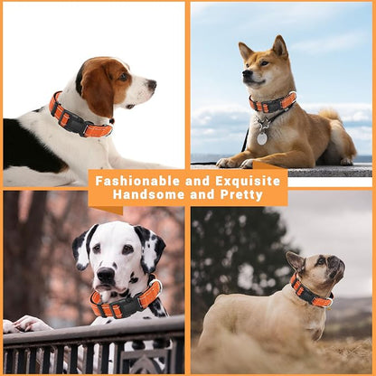 2 Pack Reflective Dog Collar - Image 5