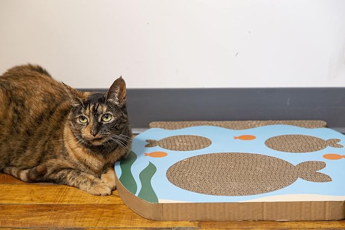 Pearhead Interactive Cat Scratch Toy, Fishbowl Theme - Image 2