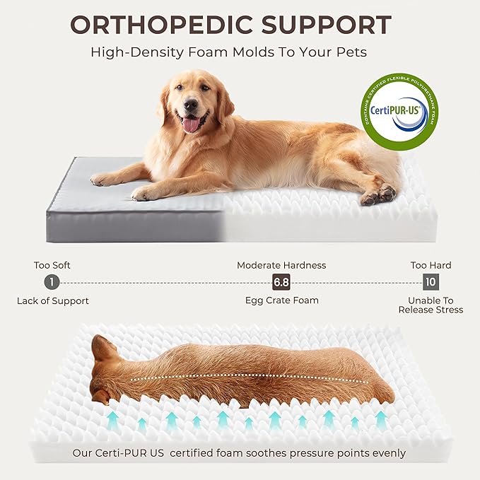 2-Pack XL Waterproof Dog Bed Large Size Dogs, Plush Cushion & Orthopedic - Image 3