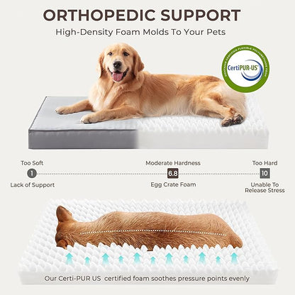 2-Pack XL Waterproof Dog Bed Large Size Dogs, Plush Cushion & Orthopedic - Image 3