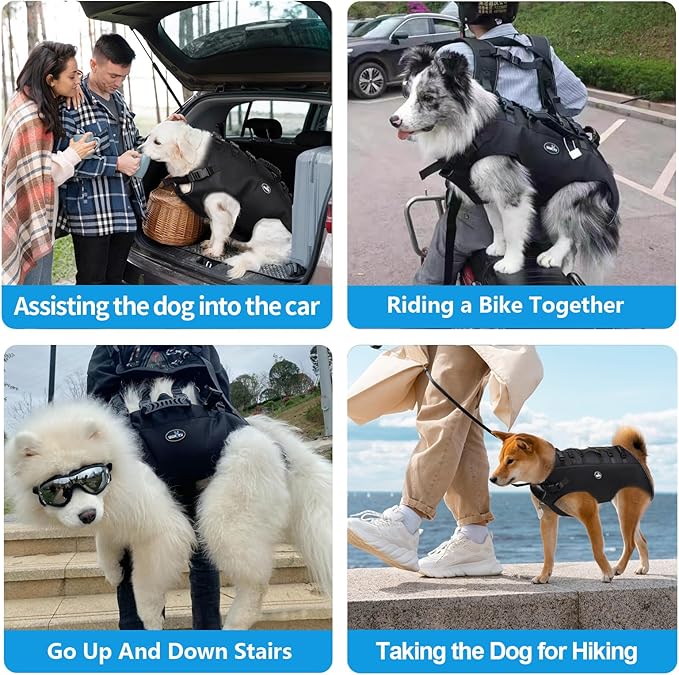 Dog Backpack Carrier for Medium Dogs Emergency Backpack, Joint Injuries - Image 2