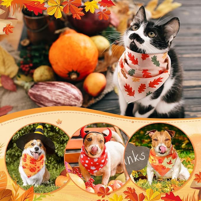 Weewooday 50 Pcs Thanksgiving Fall Dog Bandanas Bulk Pumpkin Maple Leaves - Image 6