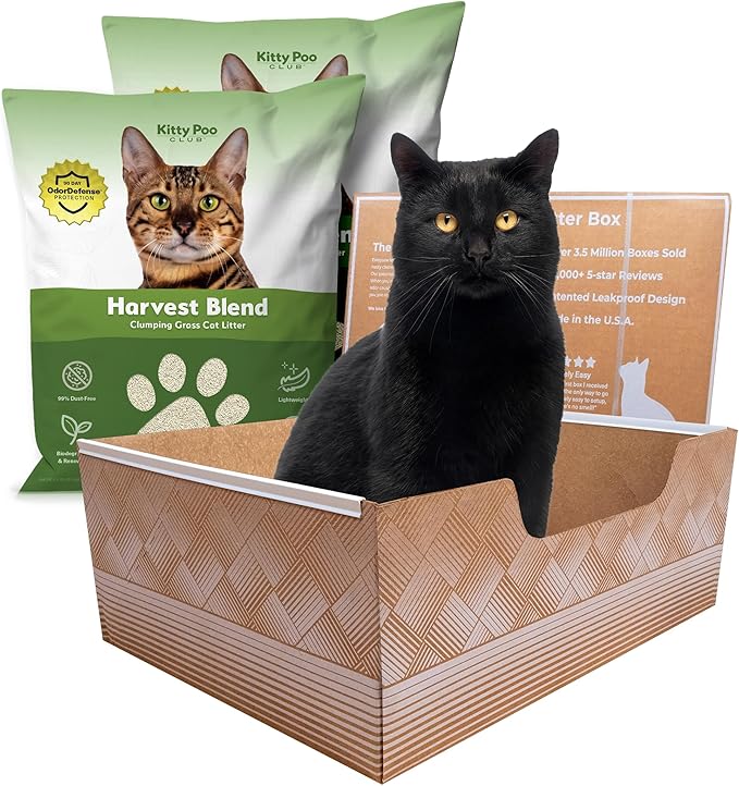 Kitty Poo Club Leakproof Disposable 2-Pack Cat Litter Box by KittyPooClub