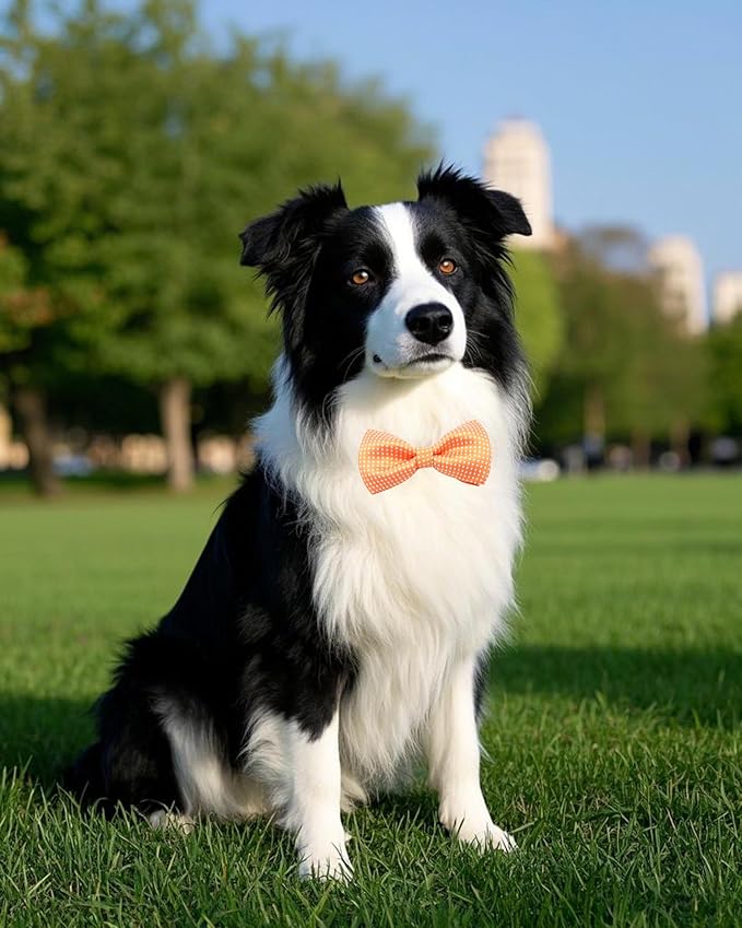 PET SHOW 8 Pack Dot Big Dogs Collar Embellishment Attachment Bow Ties - Image 7