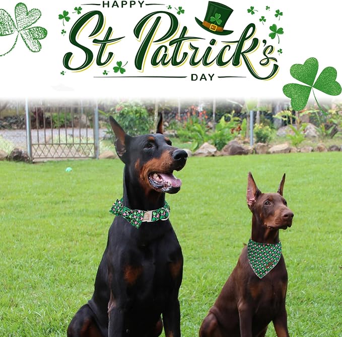 MR. CHUBBYFACE St.Patrick's Pink Green Clover Dog Collar - Image 4