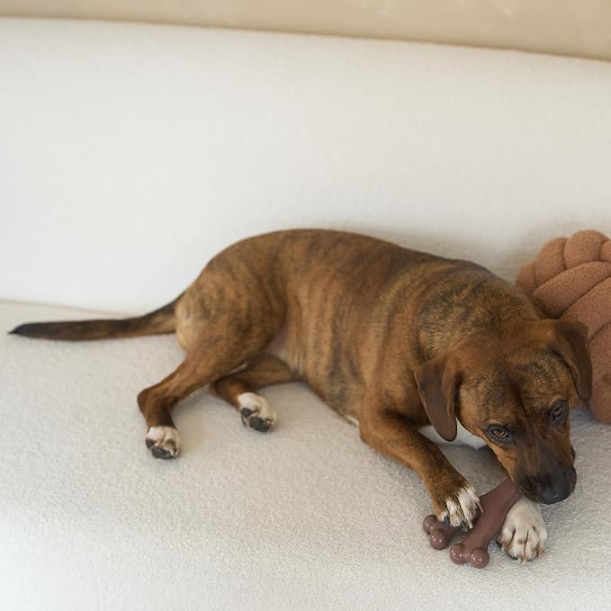 SPOT Bam-Bones Wishbone - Image 10
