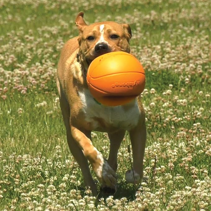 Nylabone Power Play Gripz Felt Basketball Rubber Fetch Toy, Squeaky Ball - Image 8