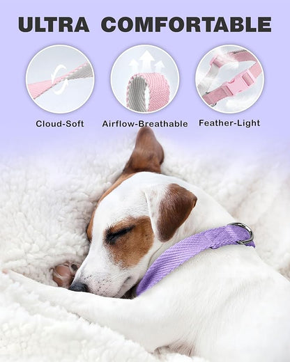 Dynmeow Soft and Breathable Cotton Dog Collar, Durable Adjustable Heavy-Duty - Image 3
