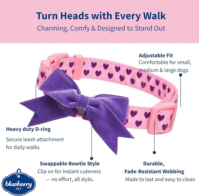 Blueberry Pet Adjustable Flocking Dog Collar - Image 2