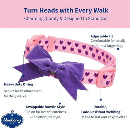 Blueberry Pet Adjustable Flocking Dog Collar - Image 2