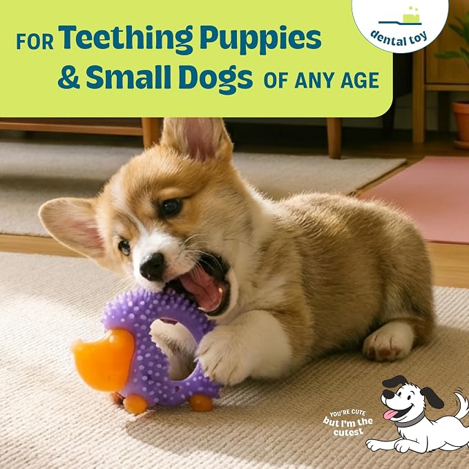 Outward Hound Pupstages Cutie Chewies Hedgehog Dental Dog Chew Toy — - Image 2