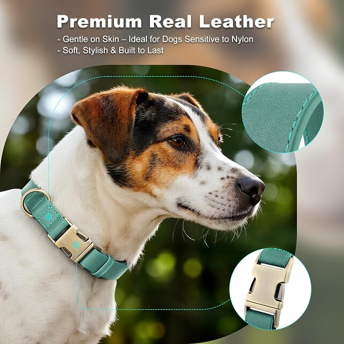 Plutus Pet Genuine Leather Dog Collar – Adjustable Pet Collar - Image 3