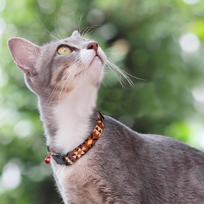 Cat Collars 2 Pack - Image 7