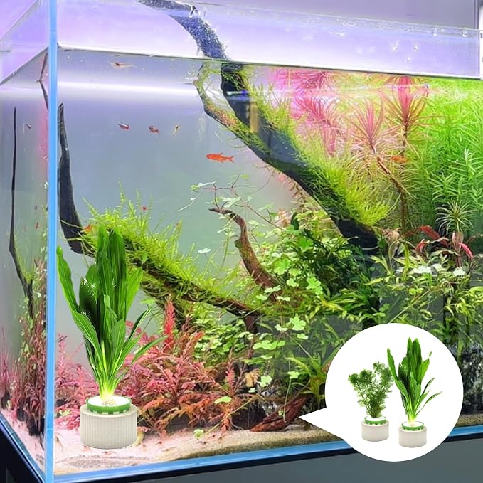 16 Pack Aquarium Plant Weights, Aquatic Plants Fixed Ring Set, Anti-Floating - Image 5
