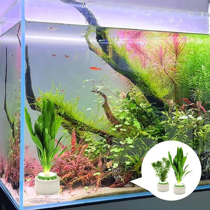 12 Pack Aquarium Plant Weights, Aquatic Plants Fixed Ring Set, Anti-Floating - Image 3