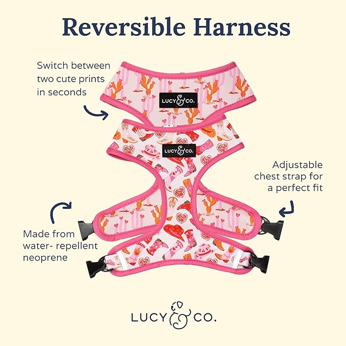Lucy & Co. Little Lamb Dog Collar - Image 6