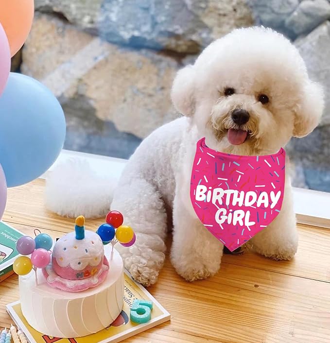 Birthday Girl Dog Bandanas 1 Pack, Pet Scarves HBD Bandanas - Image 6