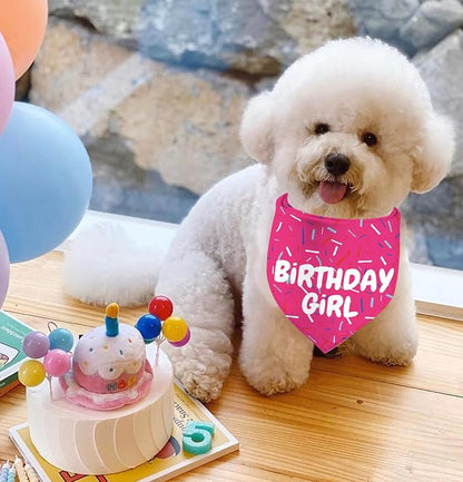 Birthday Girl Dog Bandanas 1 Pack, Pet Scarves HBD Bandanas - Image 6